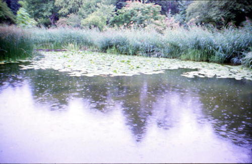 Botanischer Garten in FfM