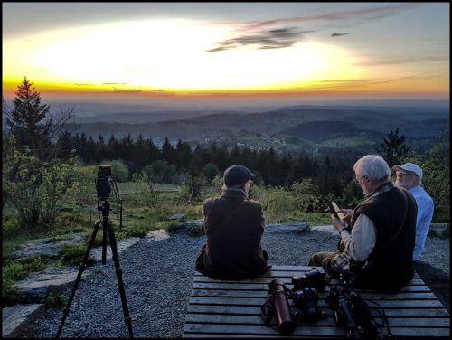 Exkursion - Großer Felberg (29.04.2025)