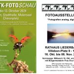 Fotoausstellung  im Rathaus