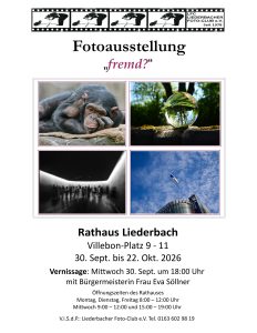 Ausstellung im Rathaus