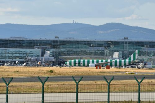 DSC_7301