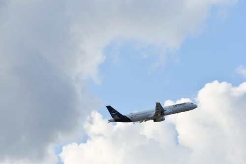 DSC_7373