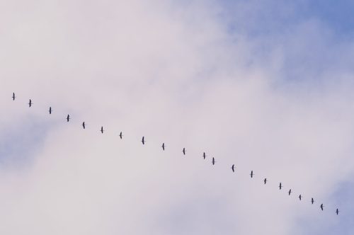 Kiessling 141023 171908 003