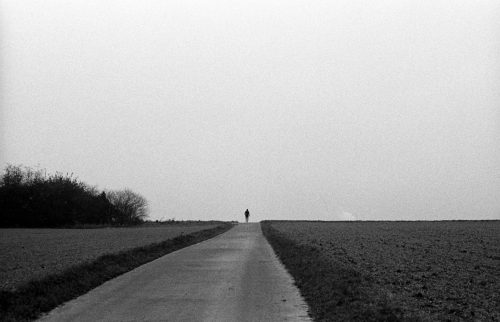 Lee_Sulzbacher Horizont