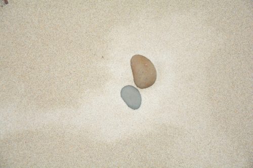 Niggemann DSC 2404-Strandgut-b