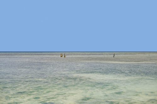 Rodewald CreativK-140529-101424-2