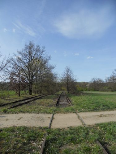 Schunk WSJ1957 L Bahngleise 039