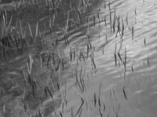 Schunk WSJ1957 L Wasser 055