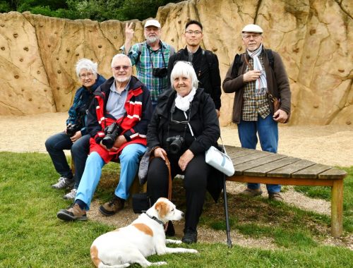 Exkursion - Weilbacher Kiesgrube (27.05.2025)